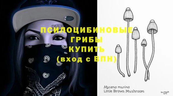трава Няндома
