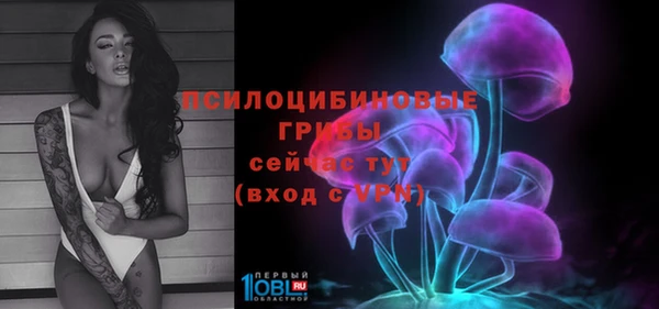трава Няндома