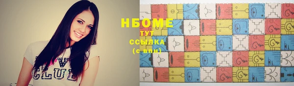 трава Няндома