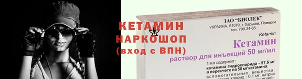 трава Няндома