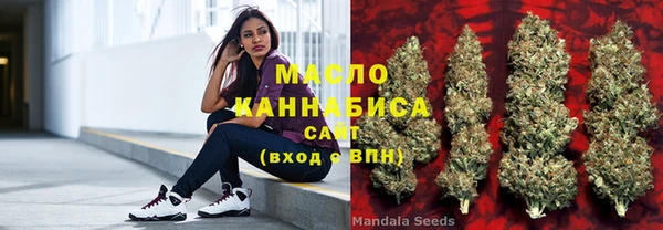 трава Няндома