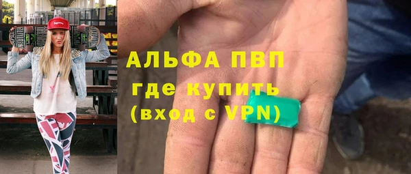 трава Няндома