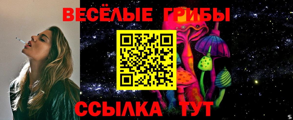 Галлюциногенные грибы прущие грибы Шумерля