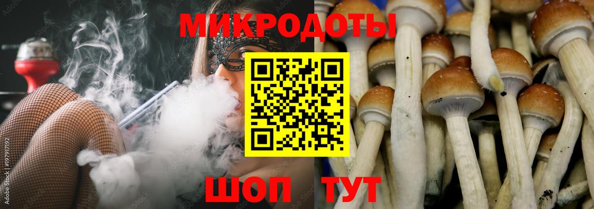 Шумерля  дарнет шоп  Вход с VPN  Галлюциногенные грибы GOLDEN TEACHER 